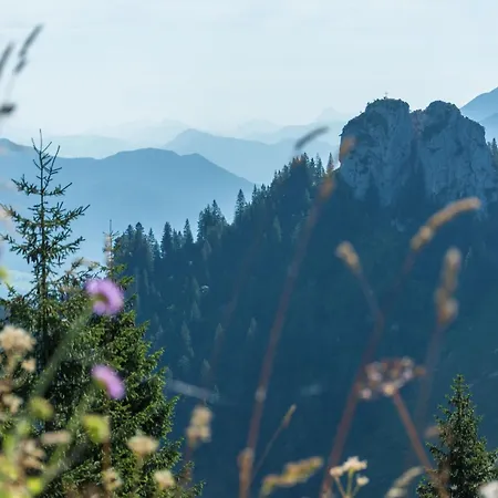 فندق أورا-زاولغروب
